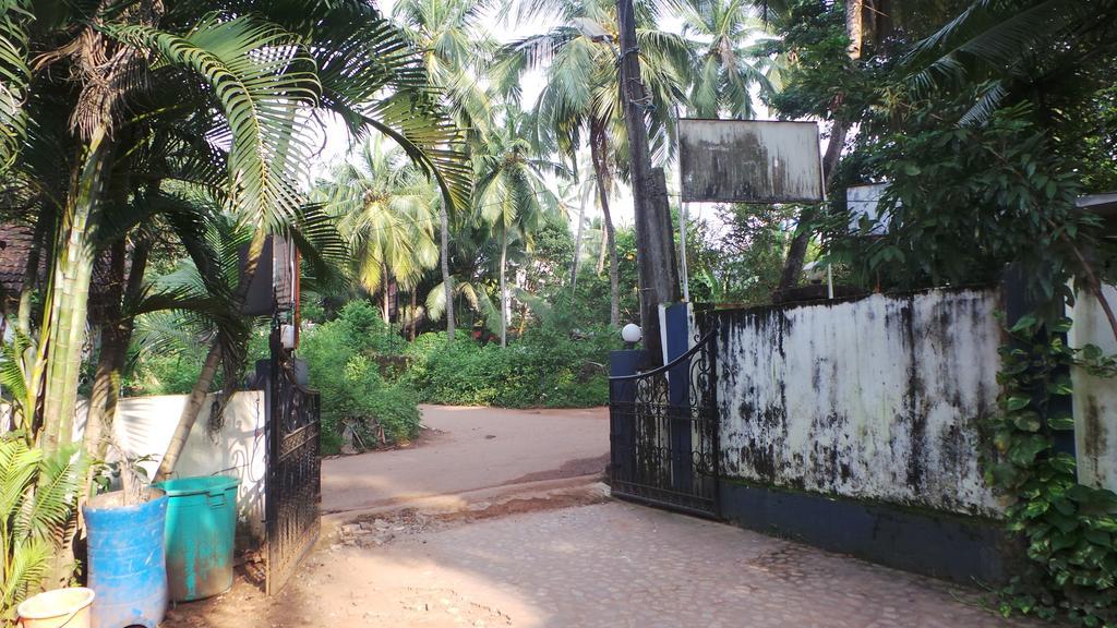 Alina Guest house
